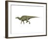 Edmontosaurus Dinosaur-null-Framed Art Print