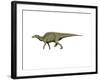 Edmontosaurus Dinosaur-null-Framed Art Print