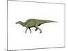 Edmontosaurus Dinosaur-null-Mounted Art Print