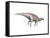 Edmontosaurus Dinosaur-null-Framed Stretched Canvas