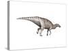 Edmontosaurus Dinosaur-null-Stretched Canvas