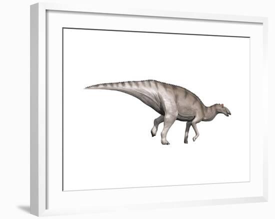 Edmontosaurus Dinosaur-null-Framed Art Print