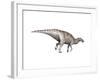 Edmontosaurus Dinosaur-null-Framed Art Print