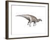 Edmontosaurus Dinosaur-null-Framed Art Print