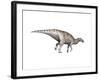 Edmontosaurus Dinosaur-null-Framed Art Print