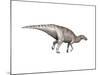 Edmontosaurus Dinosaur-null-Mounted Art Print