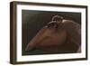 Edmontosaurus Regalis Dinosaur Portrait-null-Framed Art Print