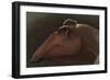 Edmontosaurus Regalis Dinosaur Portrait-null-Framed Art Print