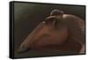 Edmontosaurus Regalis Dinosaur Portrait-null-Framed Stretched Canvas