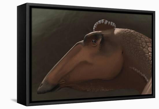 Edmontosaurus Regalis Dinosaur Portrait-null-Framed Stretched Canvas