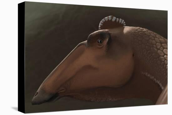 Edmontosaurus Regalis Dinosaur Portrait-null-Stretched Canvas