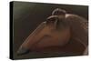 Edmontosaurus Regalis Dinosaur Portrait-null-Stretched Canvas