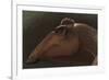 Edmontosaurus Regalis Dinosaur Portrait-null-Framed Premium Giclee Print