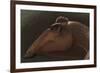 Edmontosaurus Regalis Dinosaur Portrait-null-Framed Premium Giclee Print