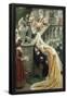 Essential Black