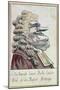 Edmund Burke, Private Adviser to His Majesty, the British King, French Caricature, c.1790-null-Mounted Giclee Print