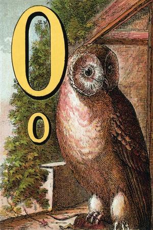 O For the Owl That Sees In the Dark