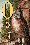 O For the Owl That Sees In the Dark-Edmund Evans-Art Print
