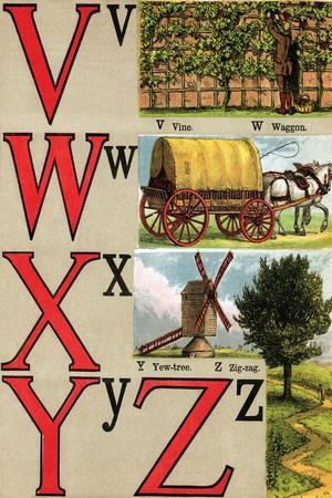 V, W, X, Y, Z Illustrated Letters