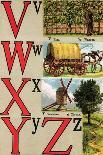 V, W, X, Y, Z Illustrated Letters-Edmund Evans-Art Print