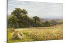 Stretched Canvas