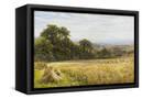 Canvas Black
