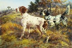 A German-Short Haired Pointer and Two Setters in a Landscape-Edmund Henry Osthaus-Giclee Print