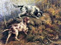 A German-Short Haired Pointer and Two Setters in a Landscape-Edmund Henry Osthaus-Giclee Print