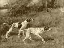 A German-Short Haired Pointer and Two Setters in a Landscape-Edmund Henry Osthaus-Giclee Print