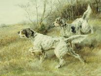 A German-Short Haired Pointer and Two Setters in a Landscape-Edmund Henry Osthaus-Giclee Print