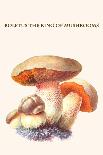 Lacteria Milk Mushrooms-Edmund Michael-Art Print