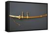 Edo Period Sword Mount-null-Framed Stretched Canvas