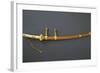 Edo Period Sword Mount-null-Framed Photographic Print