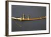 Edo Period Sword Mount-null-Framed Photographic Print