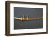 Edo Period Sword Mount-null-Framed Photographic Print