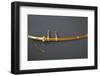 Edo Period Sword Mount-null-Framed Photographic Print