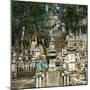 Edo (Present Tokyo, Japan), Cemetery Circa 1860-Leon, Levy et Fils-Mounted Photographic Print