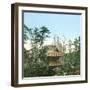 Edo (Present Tokyo, Japan), Daisadji Pavilion, Circa 1860-Leon, Levy et Fils-Framed Photographic Print