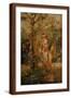 Brown Frame