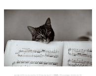 Cats on a Roof, Paris I-Edouard Boubat-Framed Art Print