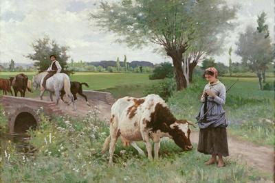 The Well Kept Cow, 1890