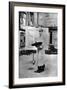 Edouard Detaille Photo-null-Framed Photographic Print