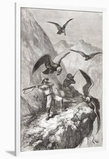 Édouard François André and Companion Being Attacked by Condors Near Calacali-null-Framed Giclee Print