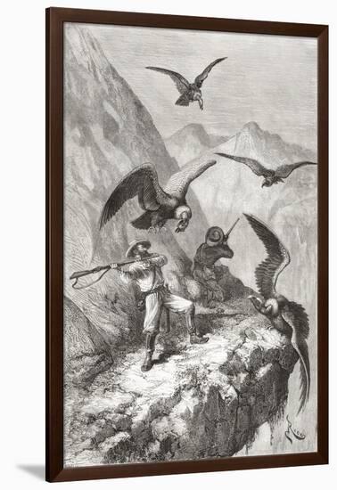 Édouard François André and Companion Being Attacked by Condors Near Calacali-null-Framed Giclee Print