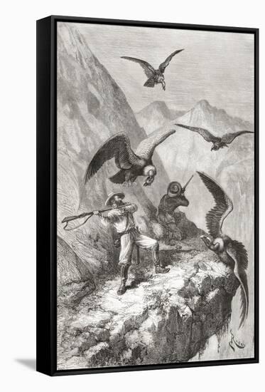 Édouard François André and Companion Being Attacked by Condors Near Calacali-null-Framed Stretched Canvas