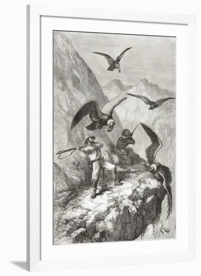 Édouard François André and Companion Being Attacked by Condors Near Calacali-null-Framed Giclee Print