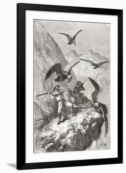 Édouard François André and Companion Being Attacked by Condors Near Calacali-null-Framed Giclee Print