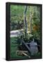 Essential Black