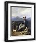 Chelsea Black
