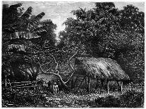 Guyana, South America, 19th Century-Edouard Riou-Giclee Print